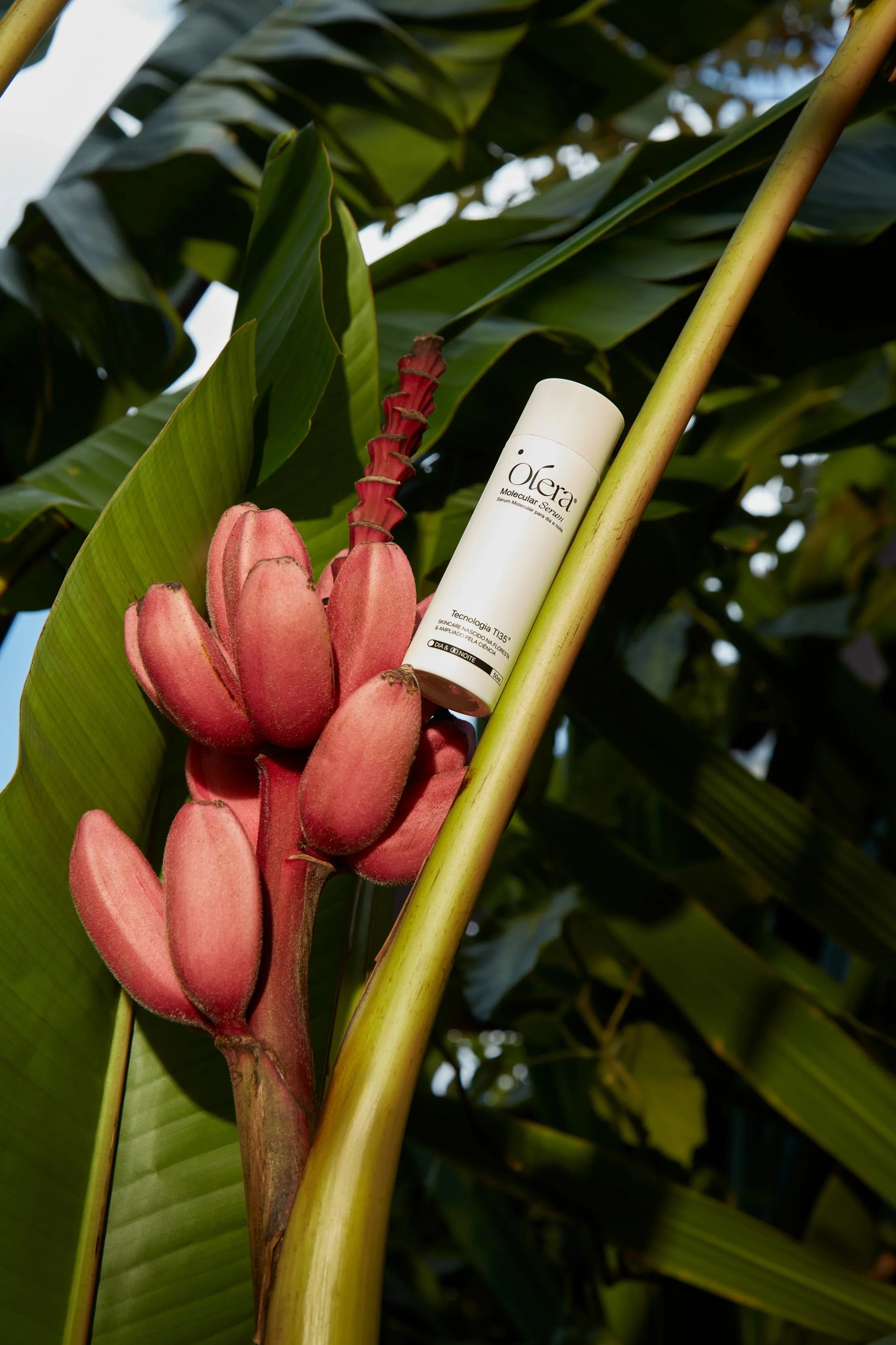 Skincare biomimético: inteligência da natureza a favor da sua pele