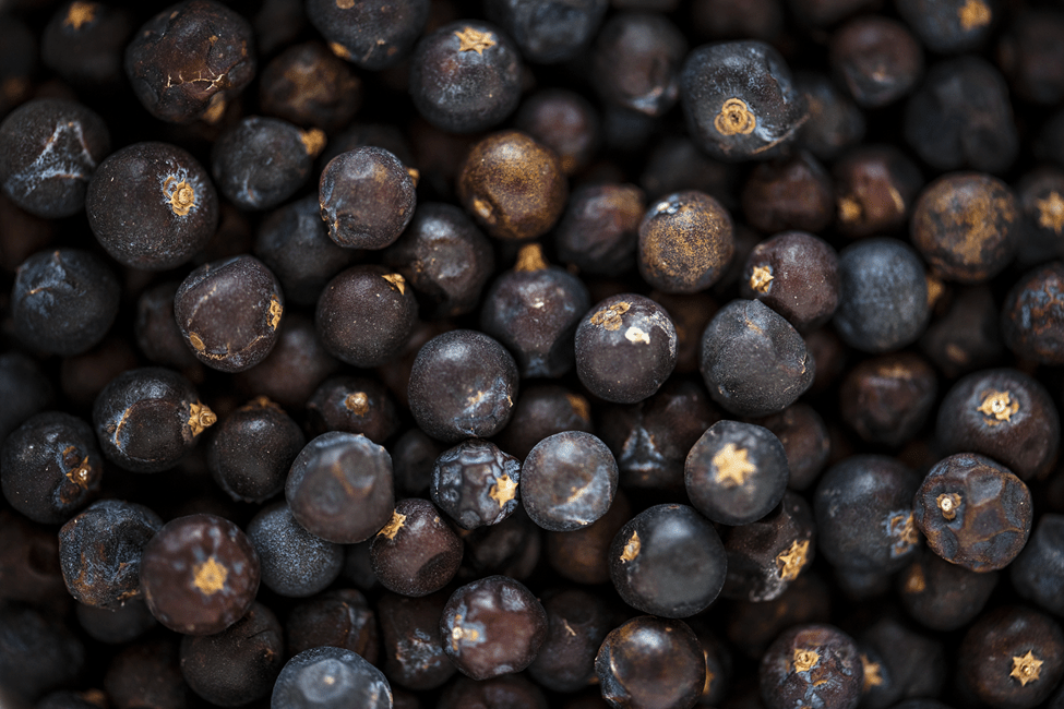 Açaí Made in Brasil: quando biodiversidade vira ciência e skincare