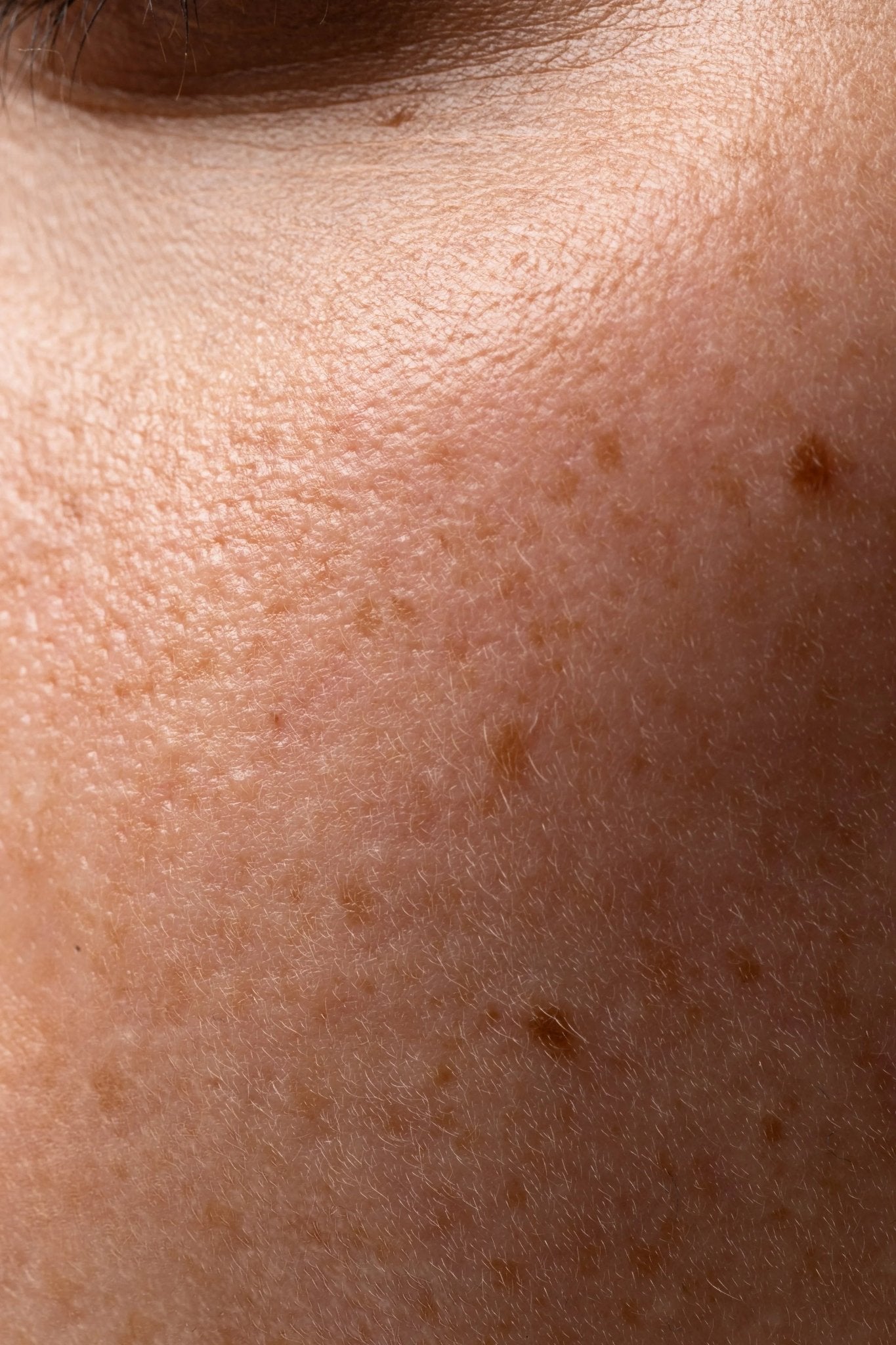 Autofagia celular: o processo natural que rejuvenesce a pele