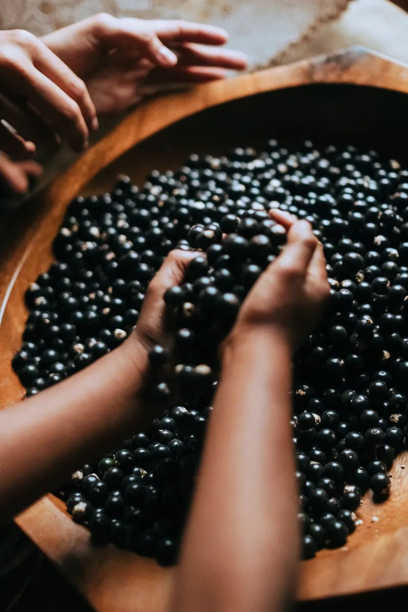 Tecnologia antioxidante: a ciência do TI35