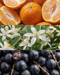 Duo Glow Antioxidante