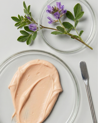 Regenerative Cream 50ml