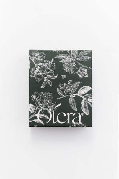 The Holiday Gift Set